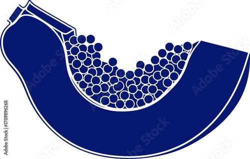 midnight blue papaya symbol of tropical abundance and hidden bounty, isolated on transparent background