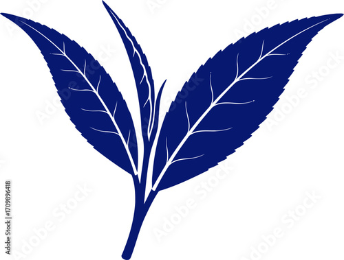 midnight blue tea leaves icon of serenity and herbal wellness, isolated on transparent background