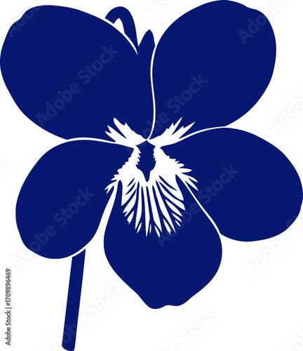 midnight blue viola elegant floral , natures subtle beauty, isolated on transparent background
