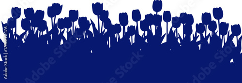 midnight blue tulips a serene silhouette of springs silent bloom, isolated on transparent background