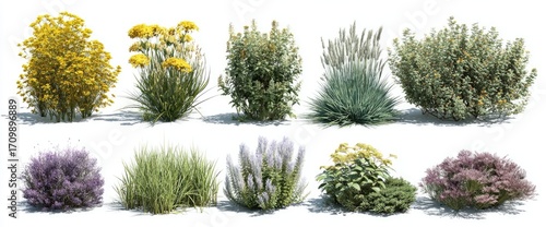 Collection of various plants, diverse textures and colors