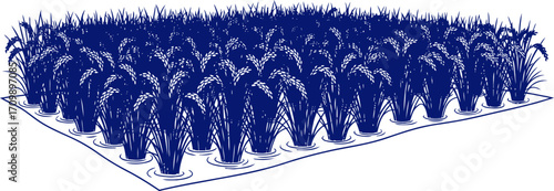 tranquil blue rice paddy serene icon of abundant harvest, isolated on transparent background