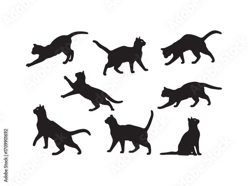 Collection of black cat silhouettes in various poses demonstrating agility and grace silhouette