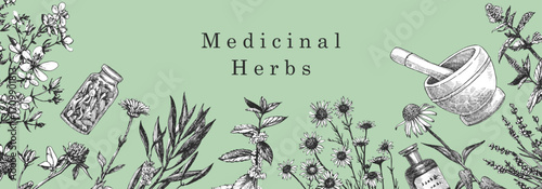Medical Herbs. Hand-drawn illustration of herbs and objects. Ink. Vector	
