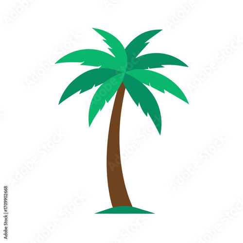 palm tree vector illustration