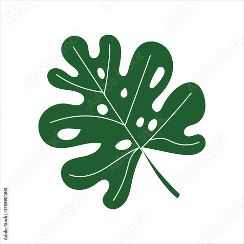 A dark green monstera leaf with irregular holes and prominent white veins on a white background