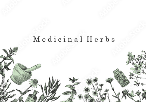 Medical Herbs. Hand-drawn illustration of herbs and objects. Ink. Vector	
