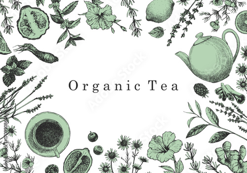 Organic Tea. Hand-drawn illustration of plants and objects. Ink. Vector