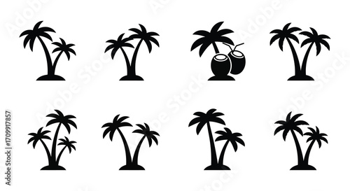 Simple black and white illustration of tropical palm trees and coconuts