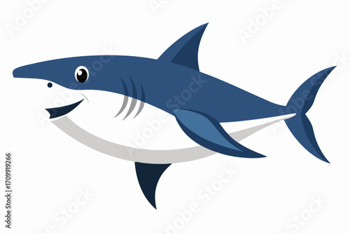 shark vector illustration