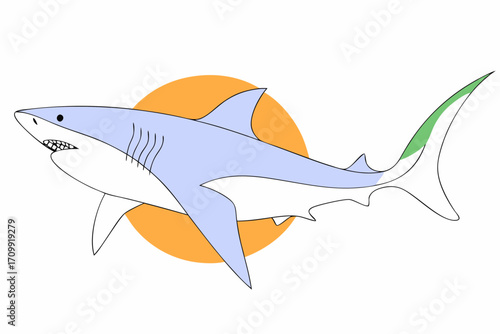 shark and fish