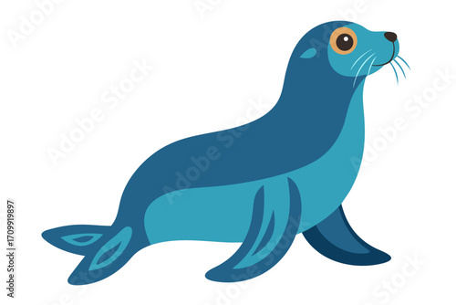 seal on the beach