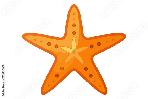 starfish isolated on white background