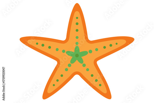 starfish isolated on white background