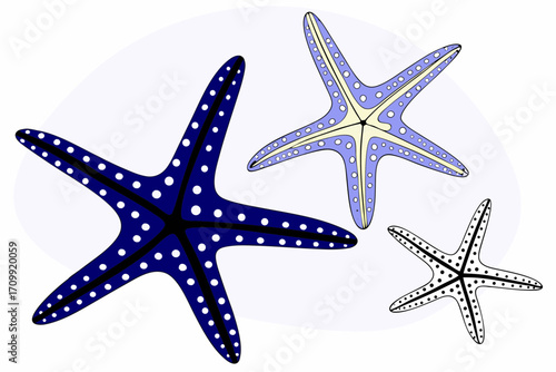 starfish isolated on white