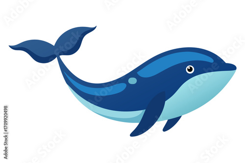 dolphin