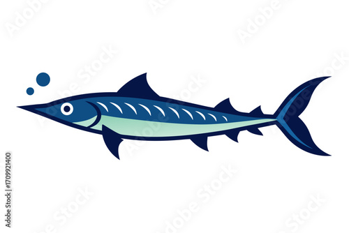 fish on a white background