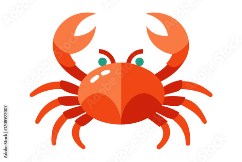 crab isolated on white background