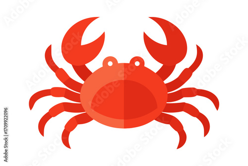 red crab on white background