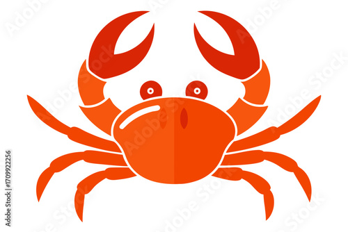 red crab on white background