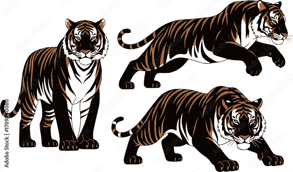 Obraz premium set of illustration of tigers. standing tiger running hunting pose. three colors. isolated on a white background. 