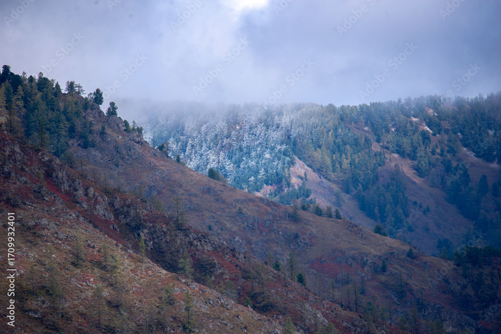 Fototapeta premium morning in the mountains