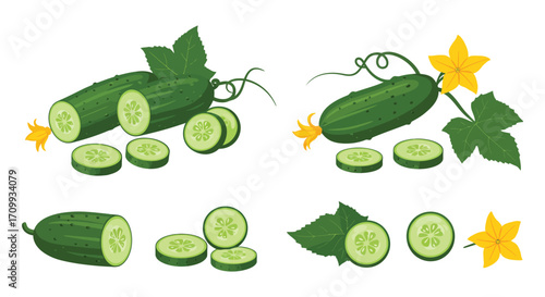 Fresh cucumbers with vibrant yellow blossoms and sliced portions displayed beautifully