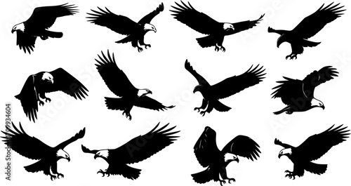 set of silhouettes of eagles flying. sketch style vector. isolated background

