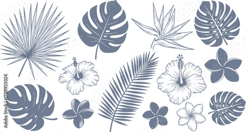 Hand drawn tropical leaves and flowers vector illustration featuring various floral elements design