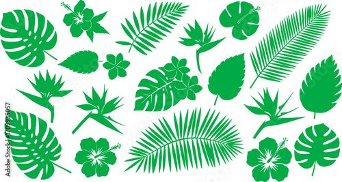 Hand drawn tropical leaves and flowers vector illustration featuring various floral elements design