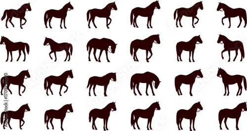 set of equestrian silhouette black and white in many profile side front view.