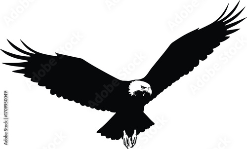 Bald eagle silhouette with wings spread wide in flight, vector illustration of powerful bird of prey, freedom and strength symbol
