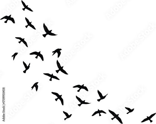 Silhouettes of flying birds in flock formation, vector illustration of wild animals in motion, migration concept for design and backgrounds