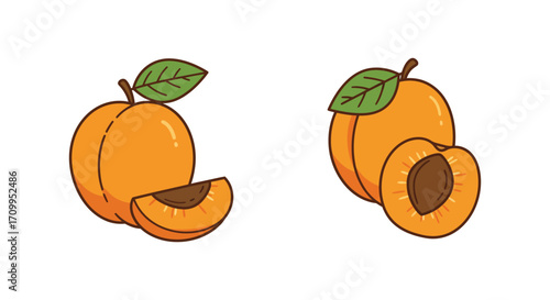 Illustration of fresh apricots including a whole fruit and a cut section