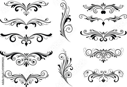 Elegant swirl floral divider ornament set with decorative calligraphy flourishes, vintage frame border, ornamental vector design illustration elements