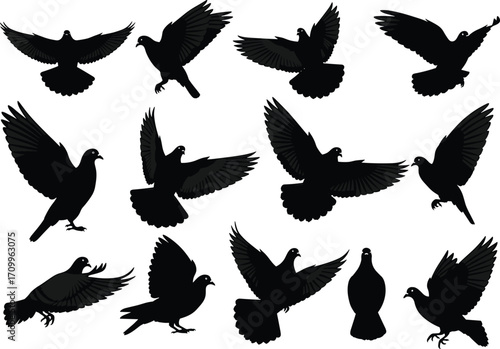 Flying pigeon bird silhouettes collection, black dove vector illustration set with wings spread, wildlife design for tattoo, logo, and decoration