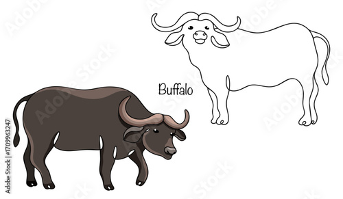 Buffalo
