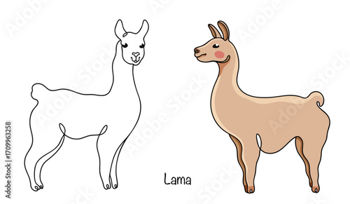 Lama
