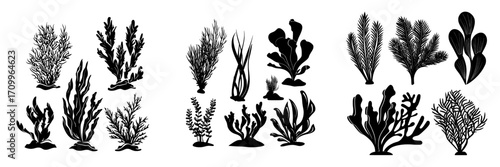 A set of coral and sea plants is depicted in a flat design illustration