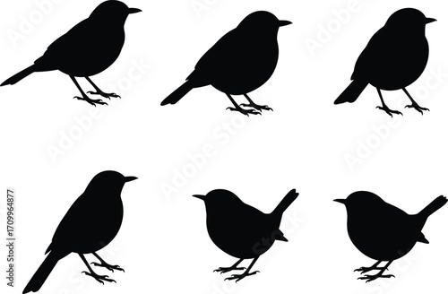 Set of perched bird silhouettes in different poses, black vector illustration for decorative clipart, wildlife design, nature artwork and patterns