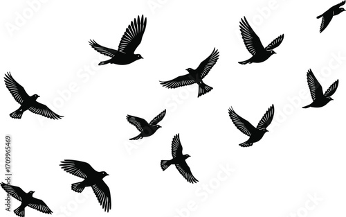Flying birds silhouettes set, flock of sparrows illustration, black bird vector design, nature wildlife artwork, decorative clipart for design