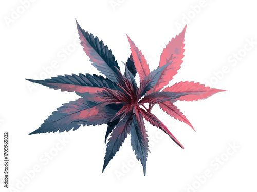 Cannabis leaf vector illustration isolated on white or transparent background
