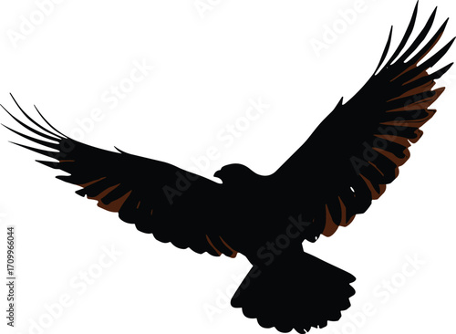 Flying eagle silhouette with spread wings, majestic bird of prey illustration, black vector design, wildlife clipart, freedom symbol, raptor pattern art