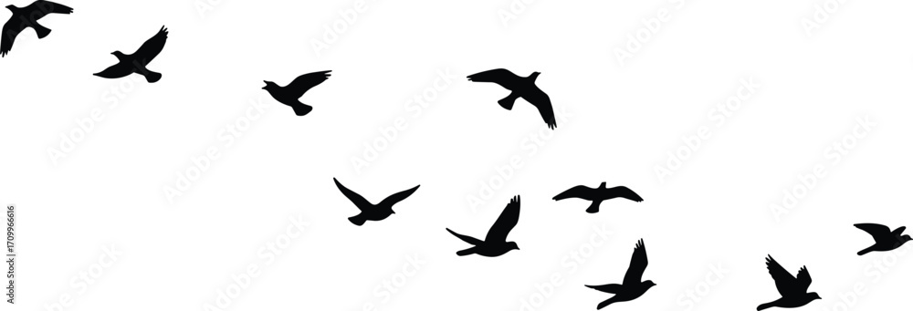 Flying birds silhouette in the sky, flock of birds vector illustration, migration, freedom, wildlife, nature pattern, minimalist black design Flying birds silhouette in the sky, flock of birds vector illustration, migration, freedom, wildlife, nature pattern, minimalist black design