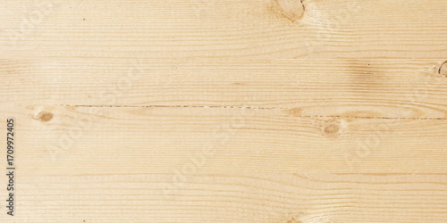White coastal oak color wood texture abstract background illustration, premium wood texture