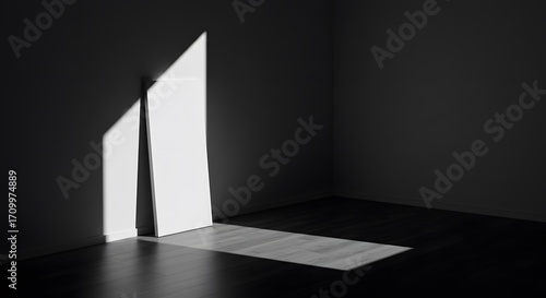 Shadow Play A Dance of Light and Darkness on the Wall
