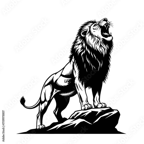 Roaring lion on rock silhouette isolated on white background
