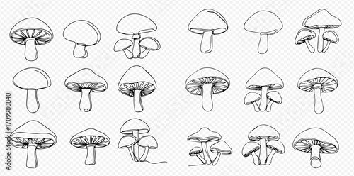 Collection of hand-drawn mushroom illustrations, various shapes and sizes, in black and white.