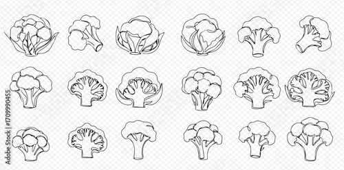 Monochrome vector line art illustrations depicting various forms of cauliflower and broccoli, including whole heads, individual florets, and sliced cross-sections.