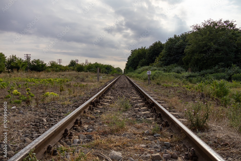 Fototapeta premium Straight railway tracks running through green countryside vegetation under a cloudy sky